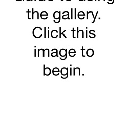 Basic Guide to using this Gallery
